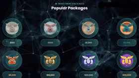 Cảnh báo rủi ro với mô hình đầu tư tài chính ERG