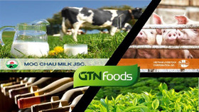 GTNfoods khước từ đề nghị của Vinamilk