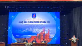 Than, khí “nóng” tại ĐHĐCĐ của PV Power