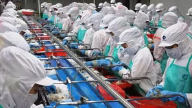 Minh Phú bất ngờ đặt chỉ tiêu lợi nhuận sụt giảm 38%