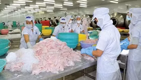 Kiểm toán nghi ngờ về khả năng hoạt động liên tục của Hùng Vương