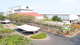 Thành Thành Công Biên Hòa tái khởi động chương trình cổ phiếu ưu đãi cổ tức