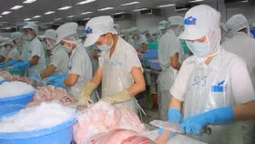 HVG bị đưa vào diện kiểm soát đặc biệt