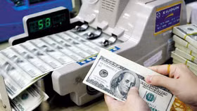 Dòng vốn ngoại vẫn tiếp tục đổ vào thị trường chứng khoán Việt