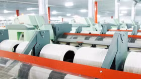 FTM đã khiến nhà đầu tư "cháy túi" thế nào?