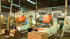 Mỗi tuần một cổ phiếu: Mua cổ phiếu PTB với giá mục tiêu 90.800 đồng/cp