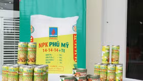 Ứng dụng Phân bón Phú Mỹ trong phát triển cây nhãn và giải pháp nâng cao chuỗi giá trị Nhãn lồng Hưng Yên