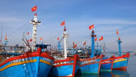 Cho vay đóng tàu: Ngân hàng “tiến thoái lưỡng nan”