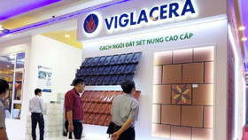 Thiết bị điện Gelex đã nắm gần 20% vốn của Viglacera