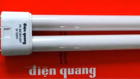 Lợi nhuận giảm 45,4%, DQC vẫn trả cổ tức tiền mặt 30% cho cổ đông