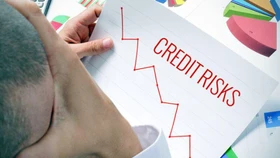 Cần chuyển hoạt động tín dụng tiêu dùng thành chính thức
