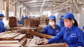 Ra khỏi diện kiểm soát, cổ đông TTF có nên hi vọng?