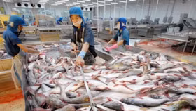“Vua cá tra” bán tài sản khắc phục lỗ lũy kế