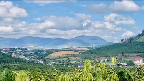 Lâm Đồng: Giấy Tân Mai xin chuyển 118 ha đất trồng rừng để làm khu dân cư