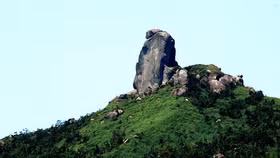 Phú Yên: Vinaconex muốn đầu tư dự án du lịch tâm linh, sân golf 470 ha tại huyện Đông Hoà