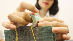 Các ngân hàng EU có thể nắm tối đa 49% tại 2 ngân hàng Việt Nam