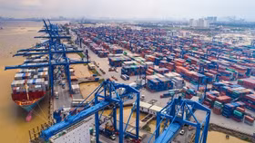 Một doanh nghiệp “nhà” Tân Cảng sắp trả cổ tức bằng tiền, tỷ lệ 25%