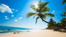 Việt Nam được chọn là điểm đến hàng đầu sau dịch Covid-19