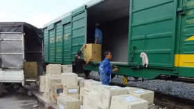 Sử dụng phương án vận tải hỗn hợp cho đường sắt tốc độ cao Bắc- Nam