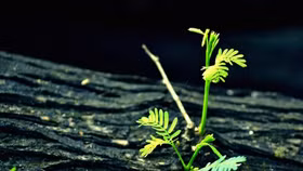 TTCK nửa đầu năm 2017: Thời điểm hồi sinh của các tên tuổi “vang bóng một thời”