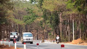 Gia Lai đầu tư 1.200 tỷ đồng xây dựng đường hành lang kinh tế phía Đông