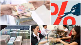 Ngân hàng Nhà nước sẽ hỗ trợ các ngân hàng để hạ mặt bằng lãi suất