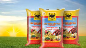 Phân bón Bình Điền dự chi hơn 85 tỷ đồng để chia cổ tức 2023