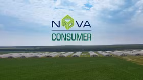 "Một trụ cột" của Nova Group chốt ngày chia cổ tức bằng tiền tỷ lệ 5%