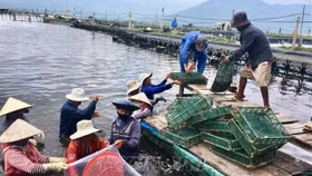 Bộ Tài chính đề xuất giảm 30% tiền thuê đất và thuê mặt nước trong năm 2022