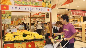 Năm 2030, hàng hóa Việt Nam sẽ có ở tất cả chuỗi phân phối tại các quốc gia có FTA