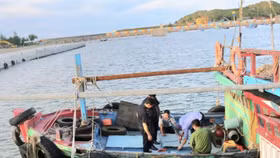 Quảng Bình bắt giữ 2 tàu cá chở 7.000 lít dầu lậu