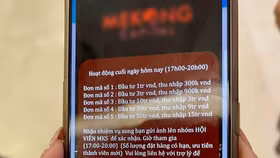 Xuất hiện trang wed giả mạo tên tuổi Mekong Capital để kêu gọi đầu tư