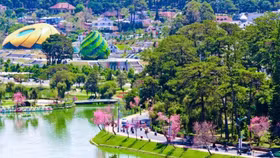 “Thành phố ngàn hoa” lên kế hoạch nhập khẩu giống hoa có bản quyền