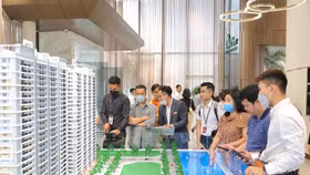 Yếu tố khiến căn hộ trung - cao cấp tiếp tục chiếm ưu thế