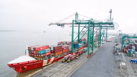 Lợi nhuận quý 2 của Cảng Xanh VIP giảm 20% so với cùng kỳ