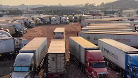 Bộ Nông nghiệp đề nghị ưu tiên xuất khẩu mặt hàng tươi sống vào vụ thu hoạch để tránh ùn tắc