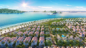 Khám phá sắc xanh tại Mallorca - Sun Grand City Feria