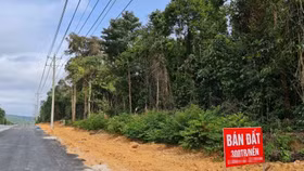 Hiểu đúng về diễn biến và giải pháp ngăn chặn “sốt đất”