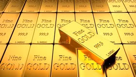 Giới đầu tư sửng sốt trước cú rơi bí hiểm của giá vàng
