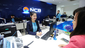 NCB chào bán cổ phần tăng vốn, con trai Chủ tịch tranh thủ gom mua