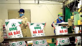 Đạm Hà Bắc bán đấu giá hơn 5 triệu cổ phiếu của Hóa chất Hưng Phát Hà Bắc