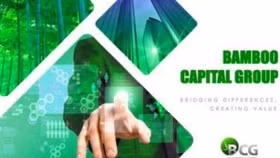 Bamboo Capital dự chi gần 800 tỷ để thâu tóm Bảo hiểm AAA