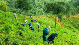 Bộ Quốc phòng giao lại 96,8 ha đất rừng tại Thanh Hóa cho nhân dân sản xuất