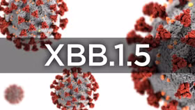 Biến chủng Covid-19 XBB.1.5 đã xuất hiện tại Việt Nam
