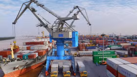 Vận tải xăng dầu VIPCO bị xử phạt hành chính vì một loạt sai phạm