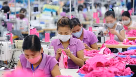 Áp thuế tối thiểu toàn cầu: Khi ưu đãi thuế không còn là lợi thế