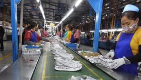 Doanh nghiệp hoạt động trở lại sau giãn cách: Quá nhiều nỗi lo