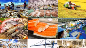 Trong đại dịch, kim ngạch thương mại hai chiều giữa Việt Nam và EU vẫn tăng trưởng tốt nhờ EVFTA