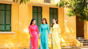 Nhiều hoạt động hưởng ứng chương trình “Áo dài - Di sản văn hóa Việt Nam”