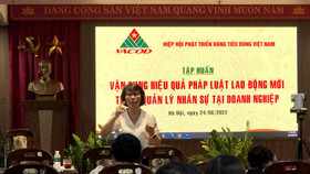 Vận dụng hiệu quả pháp luật lao động mới trong quản lý nhân sự tại doanh nghiệp